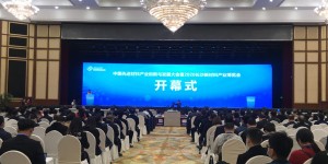 院士云集長(zhǎng)沙！2020長(zhǎng)沙新材料產(chǎn)業(yè)博覽會(huì)今日開幕