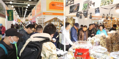 2024第23屆上海國(guó)際茶博會(huì)正唱響萬(wàn)億市場(chǎng)開門紅